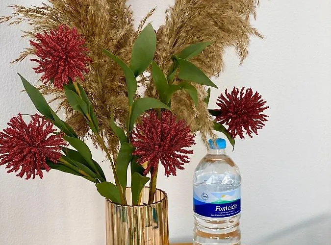 Lobos View Lägenhet Corralejo